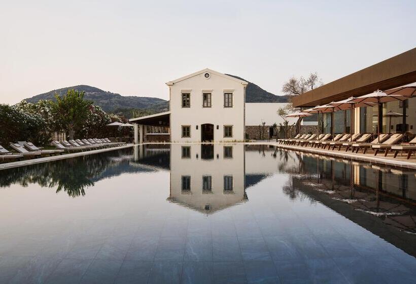 ホテル The Olivar Suites