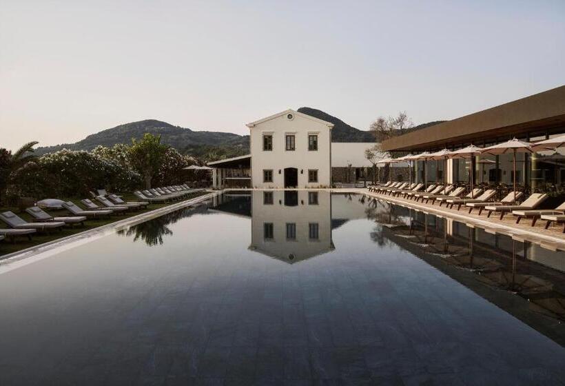 ホテル The Olivar Suites