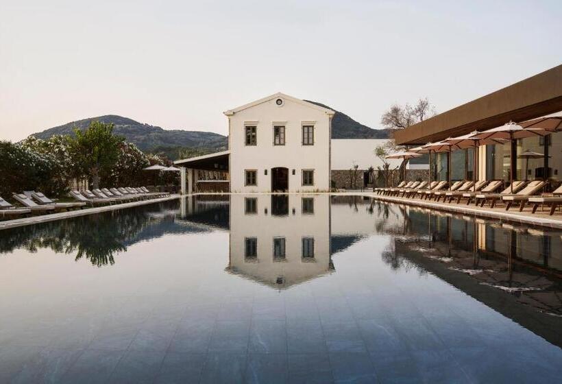 ホテル The Olivar Suites