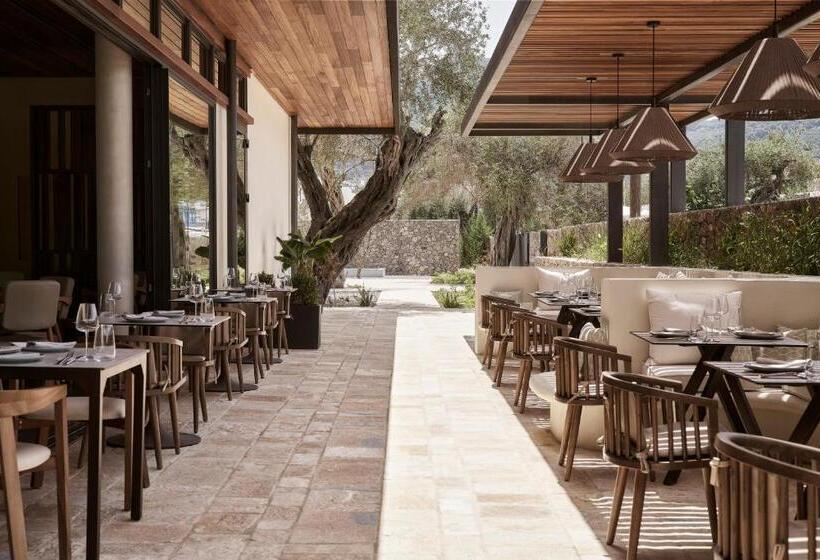 ホテル The Olivar Suites