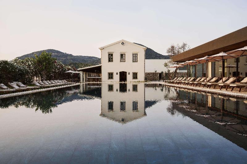 ホテル The Olivar Suites