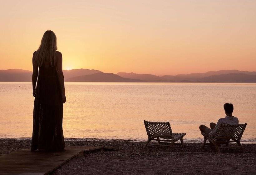 ホテル The Olivar Suites