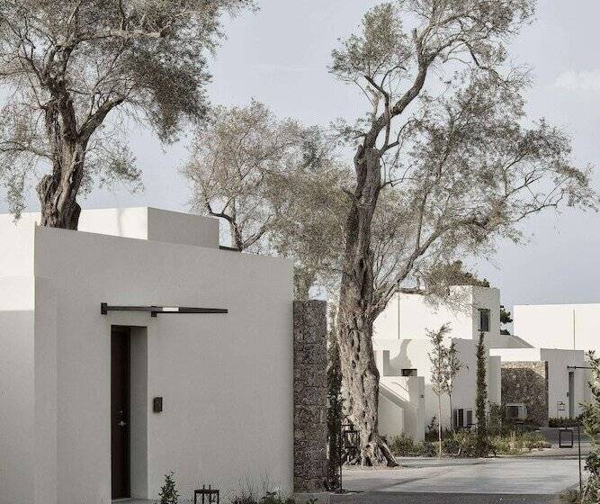 ホテル The Olivar Suites