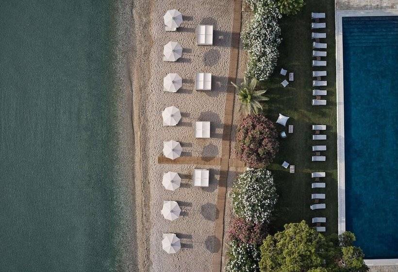 ホテル The Olivar Suites