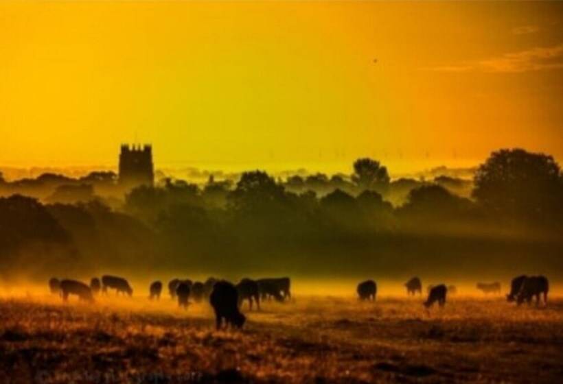Charming 2 Bed Cottage On Outskirts Of Beverley