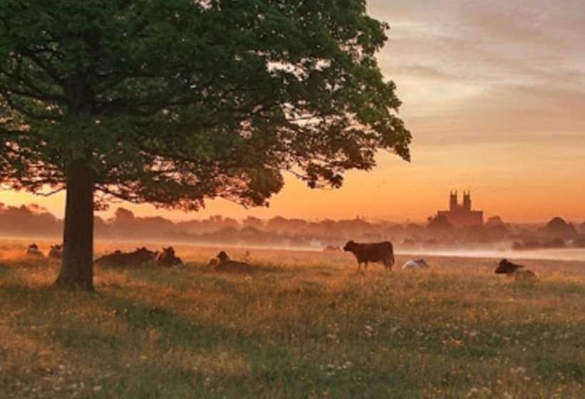 Charming 2 Bed Cottage On Outskirts Of Beverley