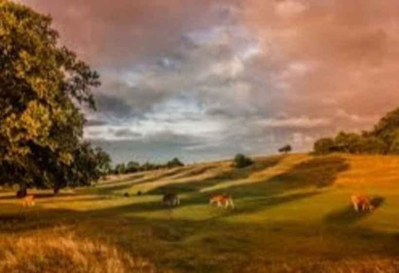 Charming 2 Bed Cottage On Outskirts Of Beverley