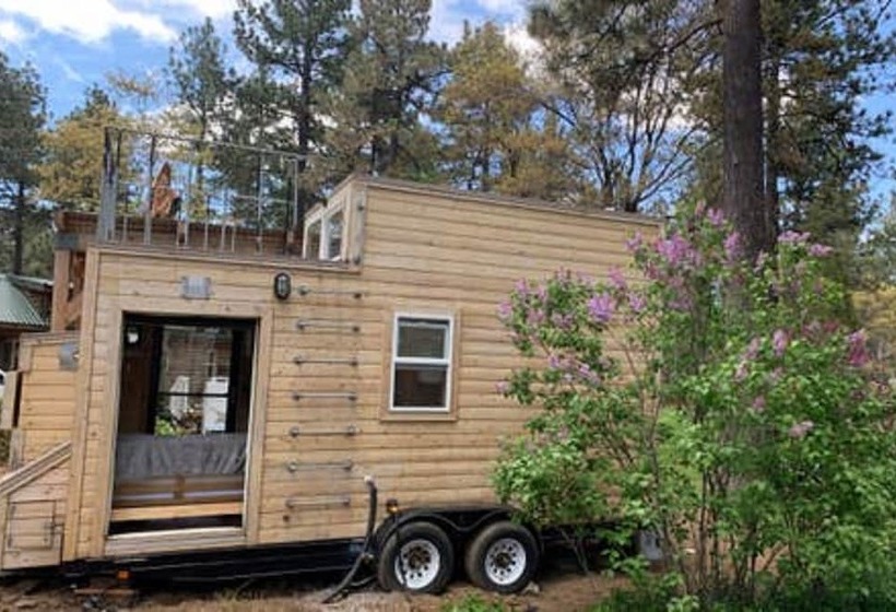 Cozy Tiny House Retreat Mount Laguna 21