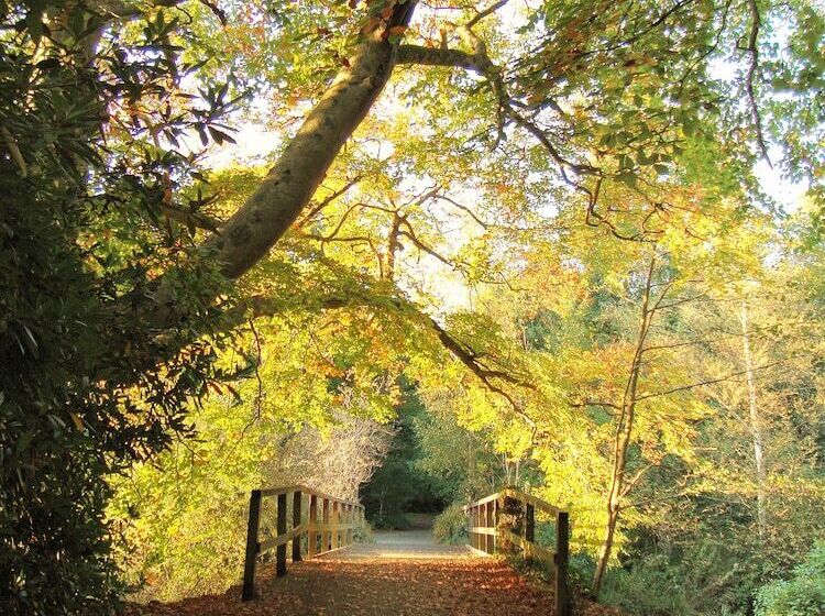 Dartmoor Reach Alpaca Farm