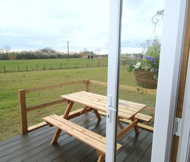 Dartmoor Reach Alpaca Farm