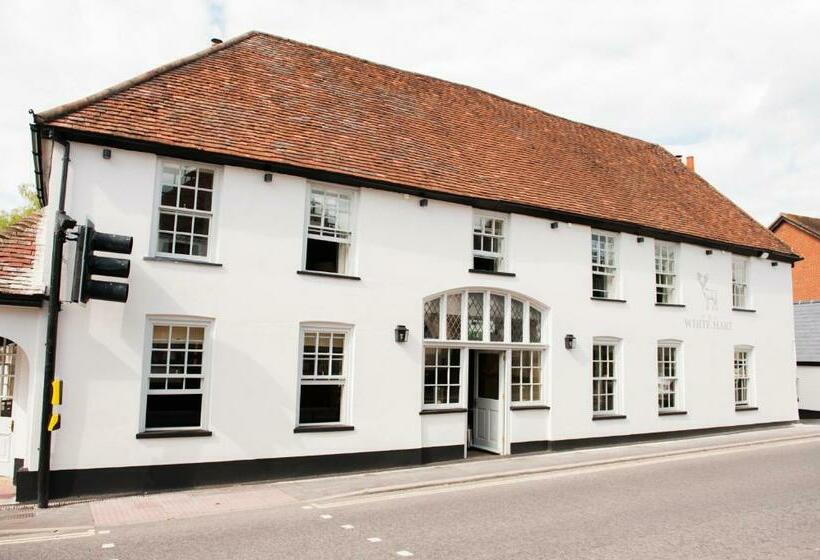 簡易ホテル The White Hart, Overton