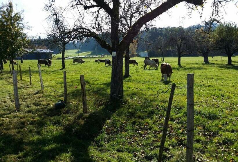 Landpension Sternberg