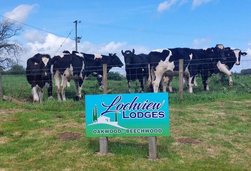 Luxury Family Beechwood Lodge With Hot Tub