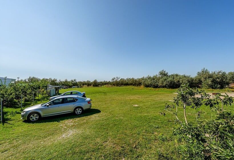 پانسیون Nar Motel