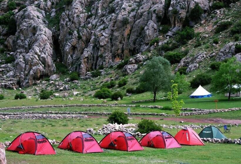 פנסיון Taurus Guest House