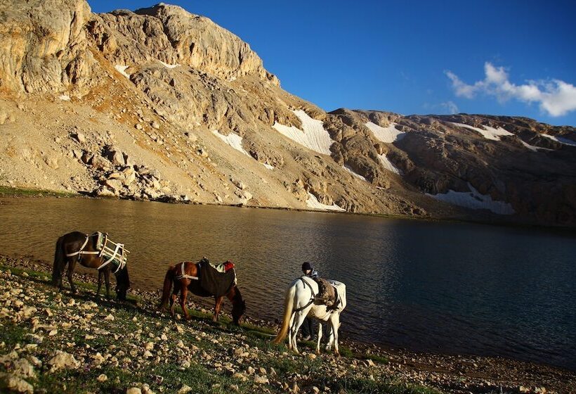 بنسيون Taurus Guest House