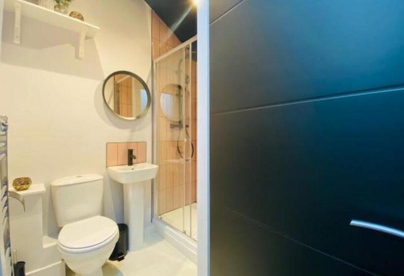 Пансион Townhouse Plus @ Lower Beth Street Stoke