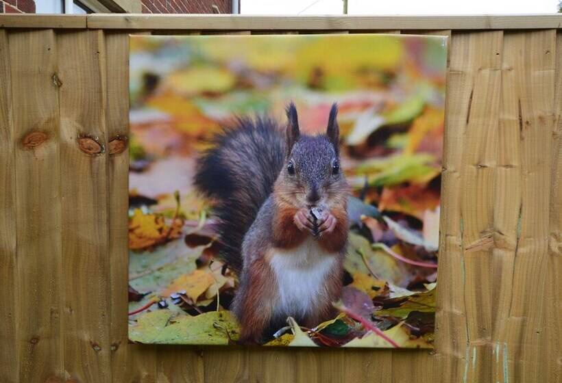 Queen Bower Farm Lodge