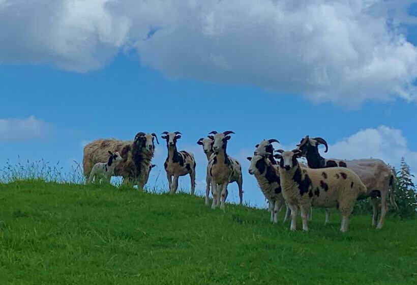 Queen Bower Farm Lodge