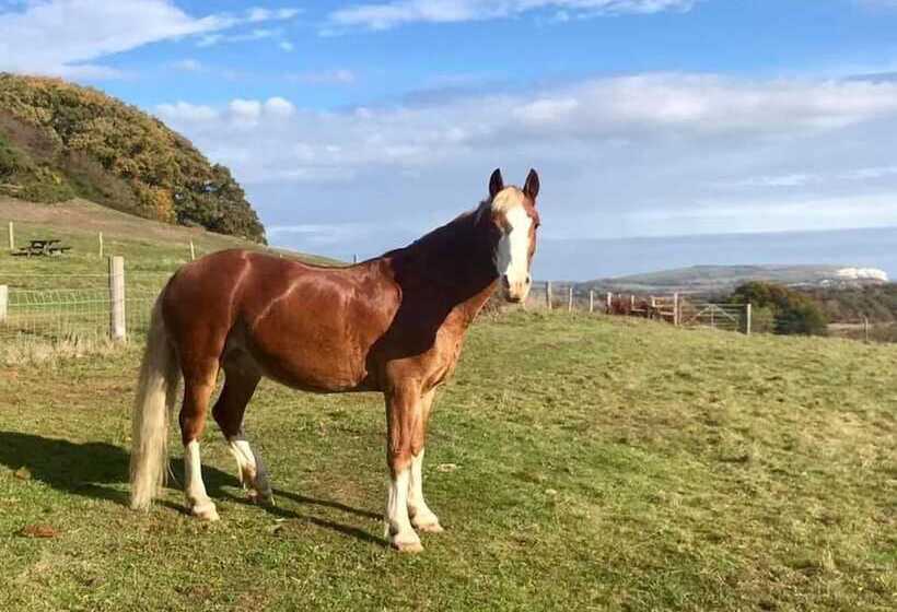 Queen Bower Farm Lodge