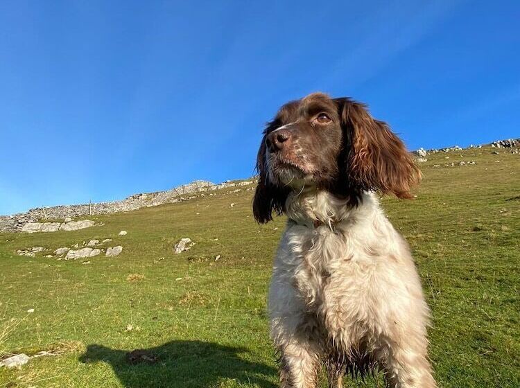 Stunning 1 Bed Cottage Close To Lakedistrict