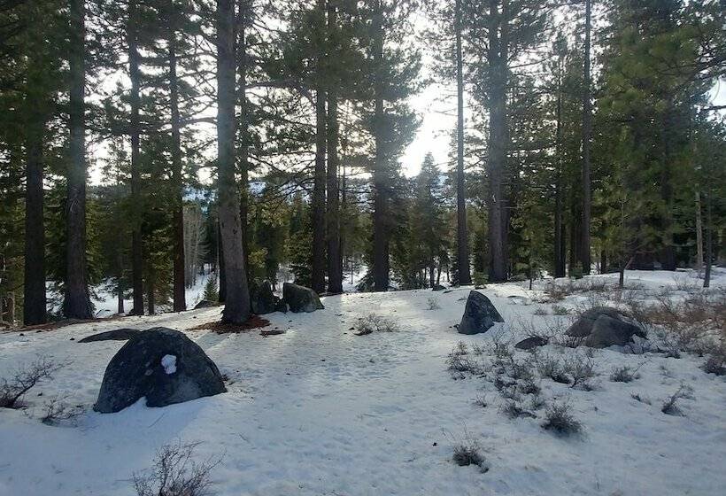 Close To The Action, A Must For Outdoor Activity!!