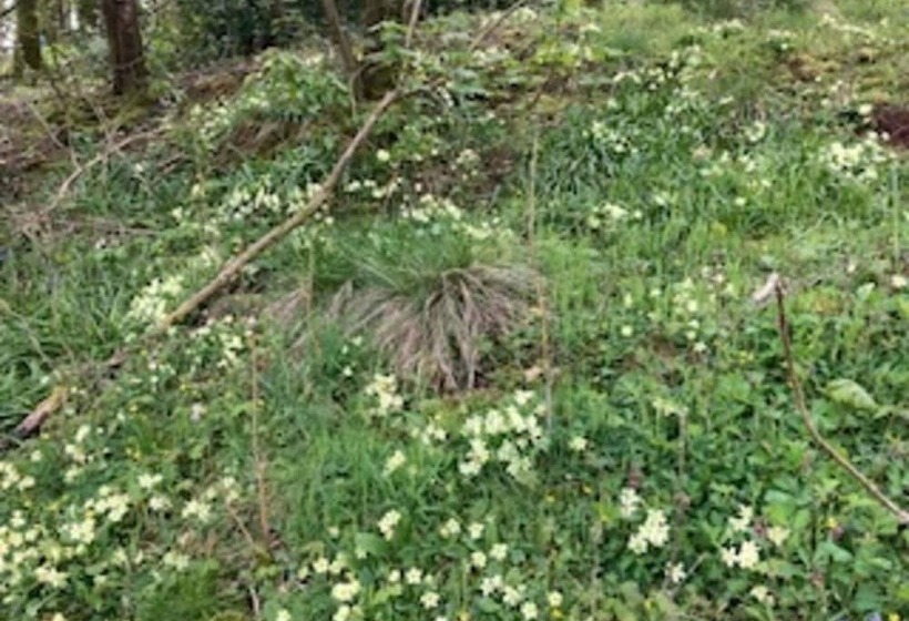 Cosy 2 Bed Cottage With Garden Near Carlisle