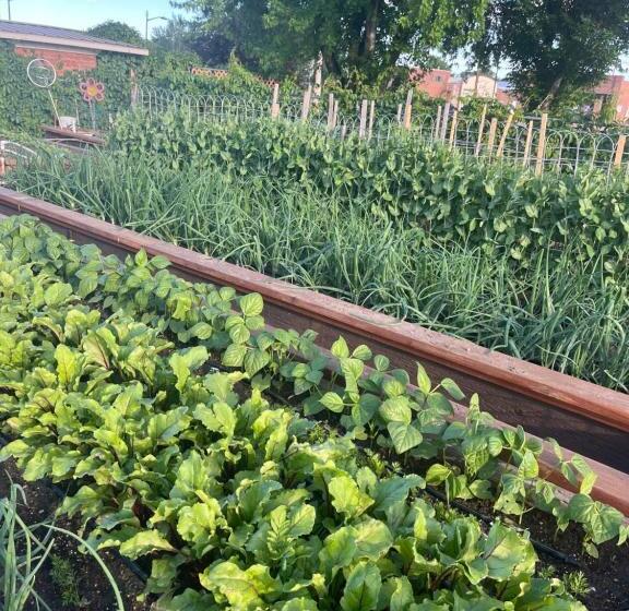 Horseshoe Bend Motel