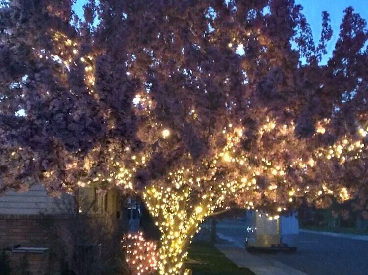 Horseshoe Bend Motel