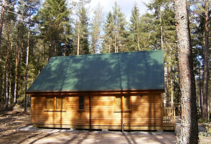 فندق Cairngorm Lodges