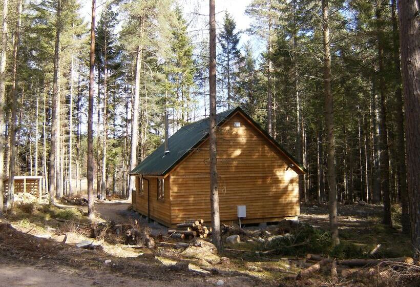 فندق Cairngorm Lodges