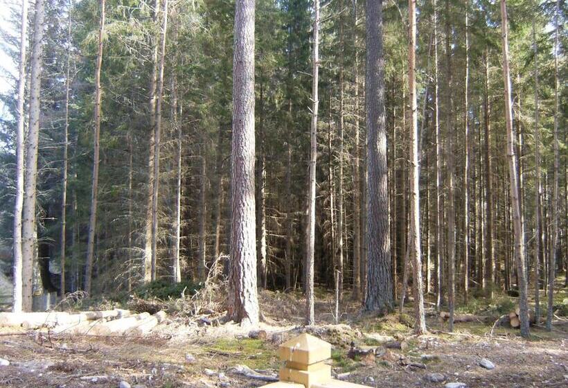 فندق Cairngorm Lodges