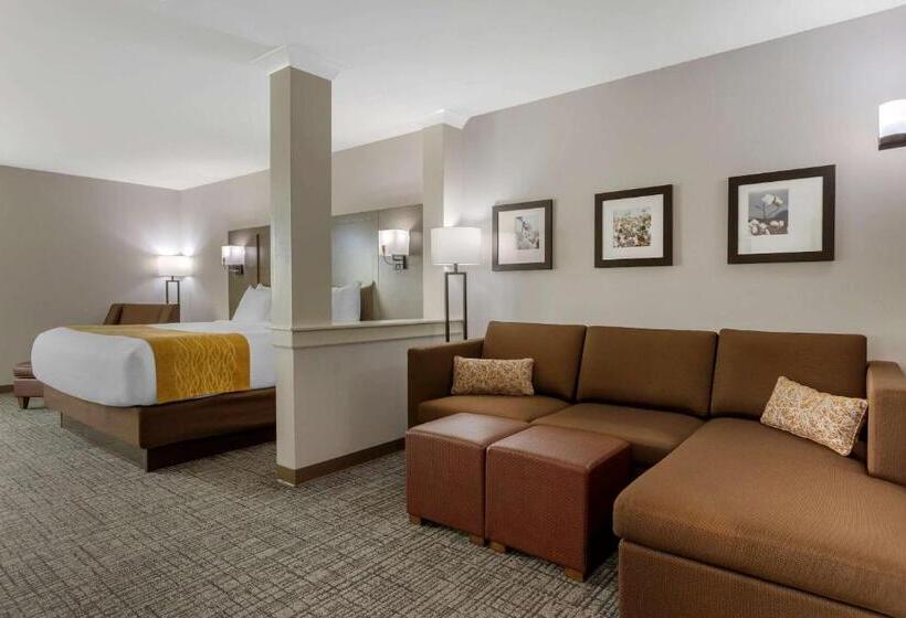 فندق Comfort Inn