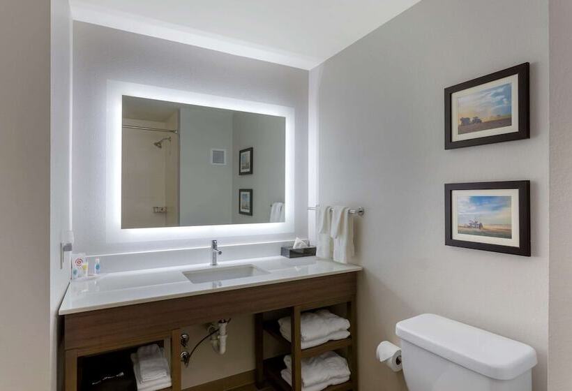 فندق Comfort Inn