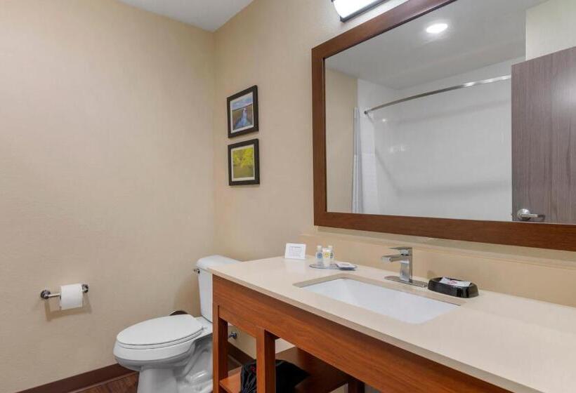 فندق Comfort Inn & Suites