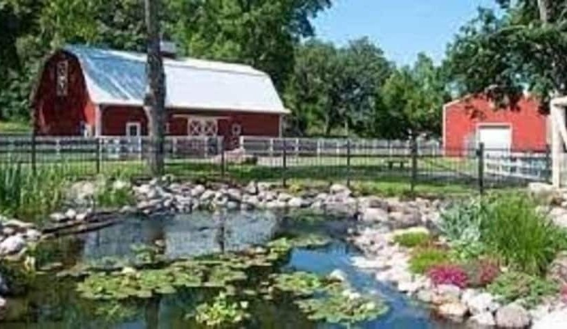 فندق Comfort Inn & Suites