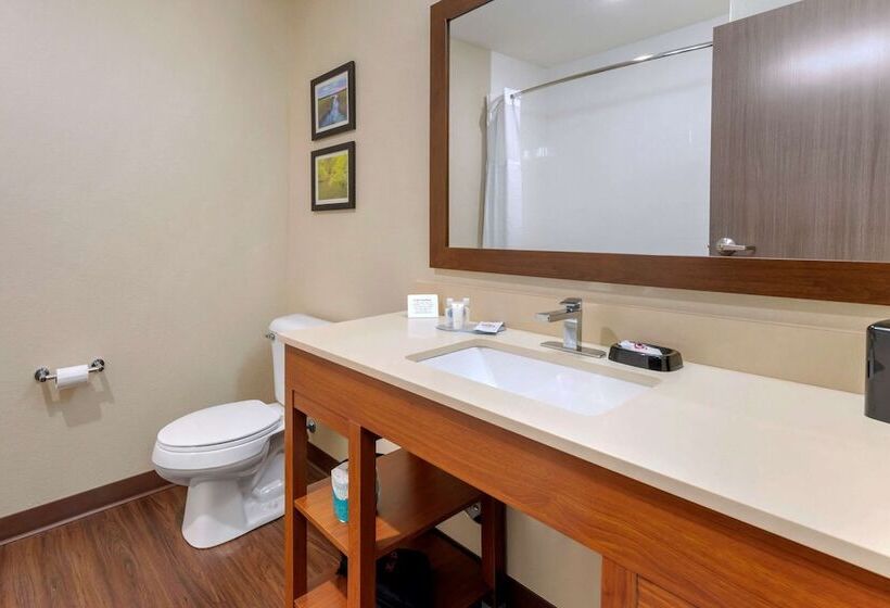 فندق Comfort Inn & Suites