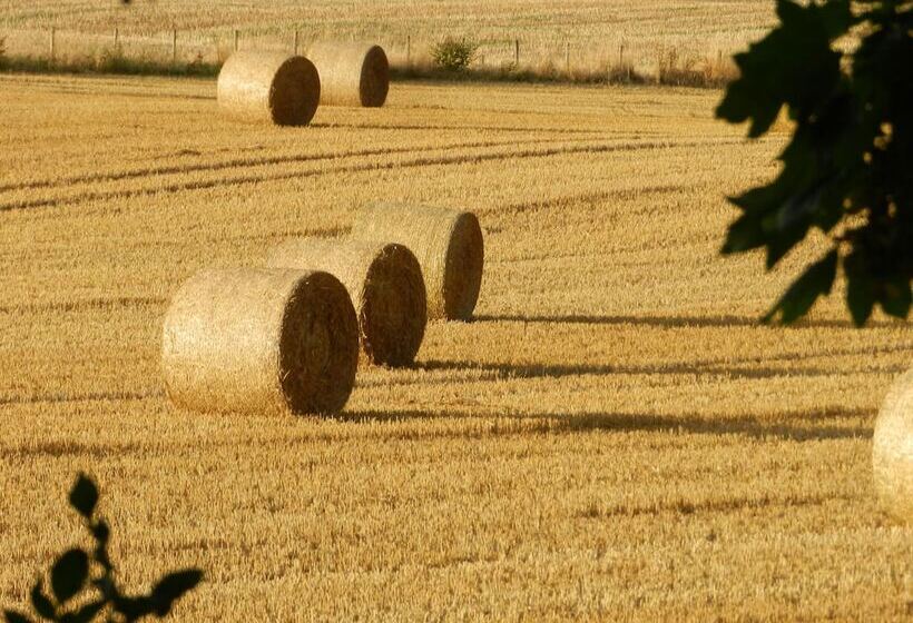 فندق Cosy Glamping 4m Bell Tent In Rural Herefordshire