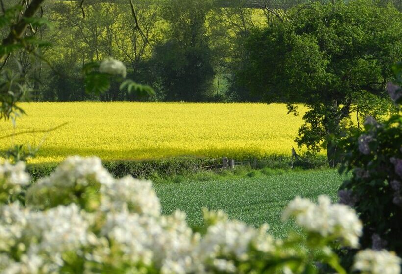 فندق Cosy Glamping 4m Bell Tent In Rural Herefordshire