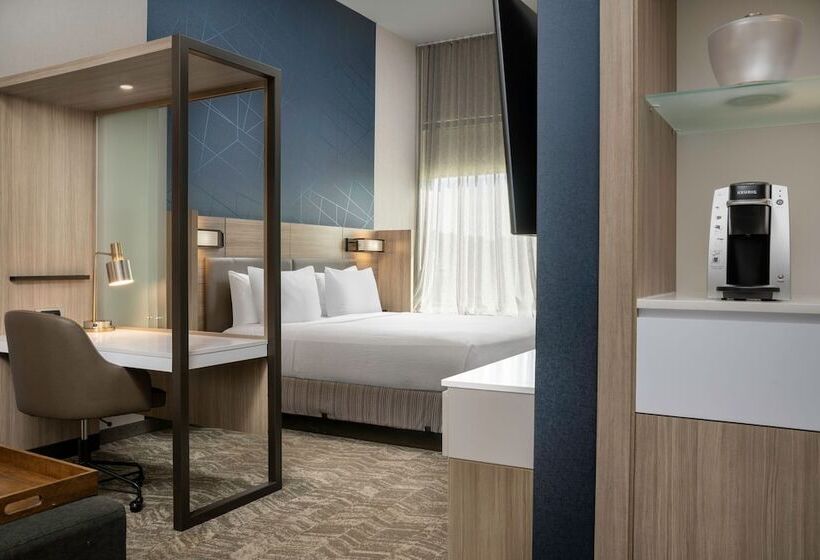 فندق Springhill Suites By Marriott Birmingham Gardendale