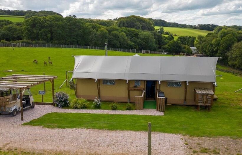 Luxury Safari Lodge Surrounded By Deer!!  Roe