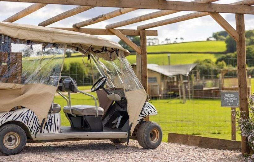 Luxury Safari Lodge Surrounded By Deer!!  Roe