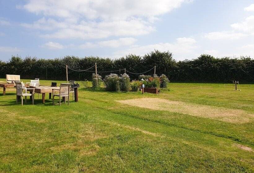 Luxury Safari Lodge Surrounded By Deer!!  Roe