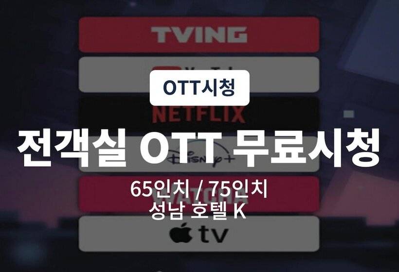 汽车旅馆  Seongnam Hotel K