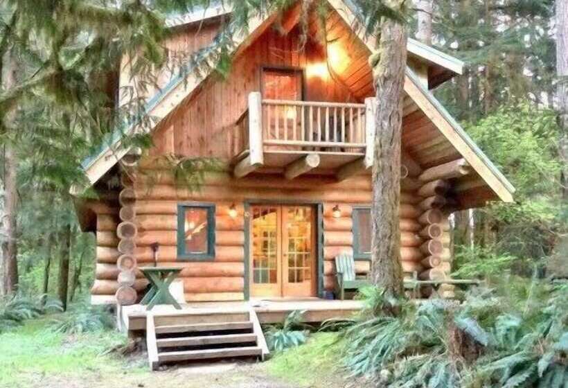 Mt Baker Lodging Cabin 10 Sleeps 8