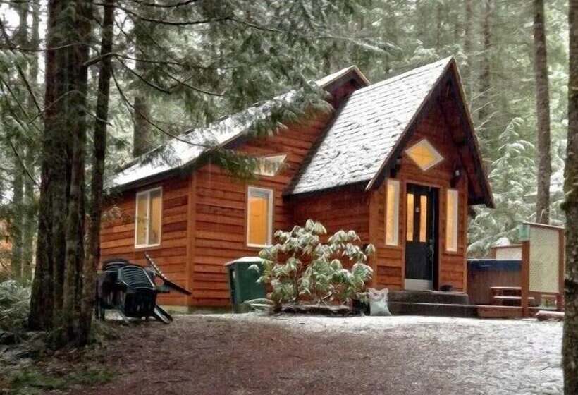 Mt Baker Lodging Cabin 16   Sleeps 2