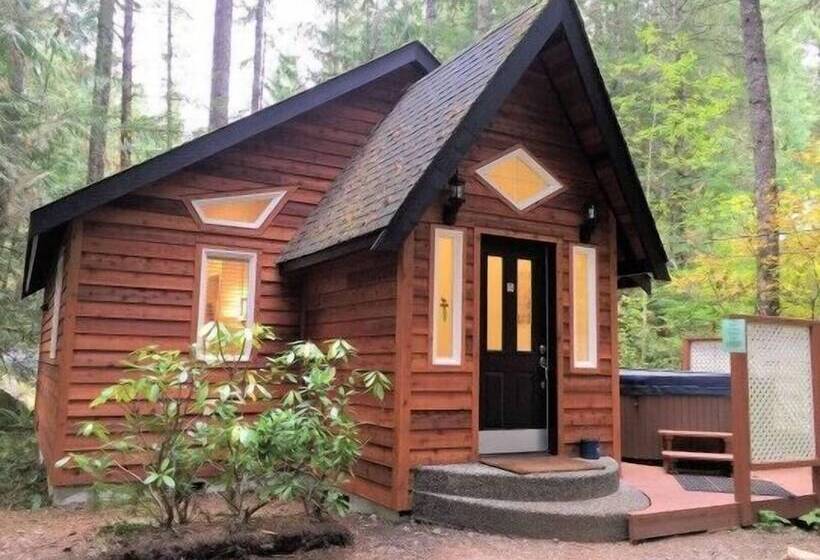 Mt Baker Lodging Cabin 16   Sleeps 2