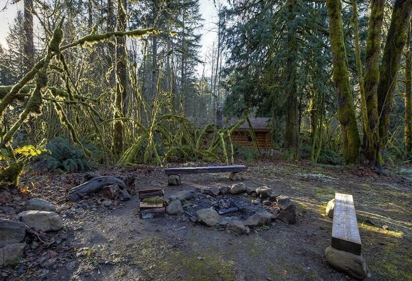 Mt Baker Lodging Cabin 2  Sleeps 8