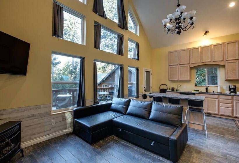 Mt Baker Lodging Cabin 2  Sleeps 8