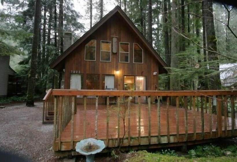 Mt Baker Lodging Cabin 35   Sleeps 6